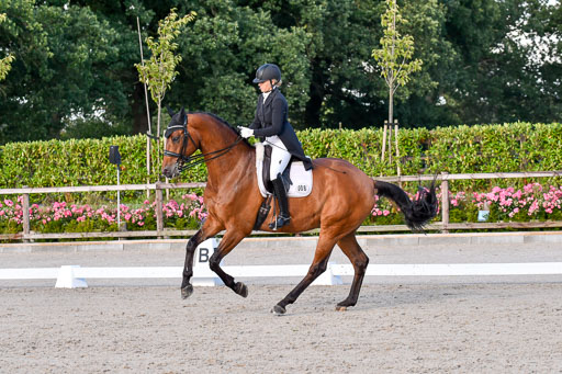 Klein Offenseth Dressur  1.8.2021 | 01082021 Dressur  KL S +_519 