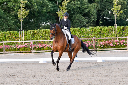 Klein Offenseth Dressur  1.8.2021 | 01082021 Dressur  KL S +_520 