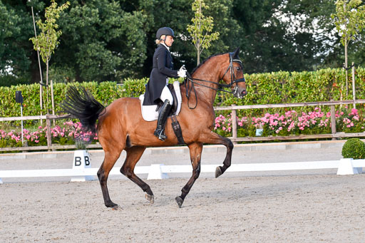 Klein Offenseth Dressur  1.8.2021 | 01082021 Dressur  KL S +_522 