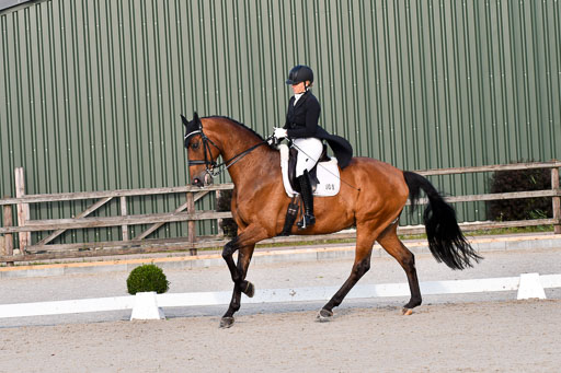 Klein Offenseth Dressur  1.8.2021 | 01082021 Dressur  KL S +_527 