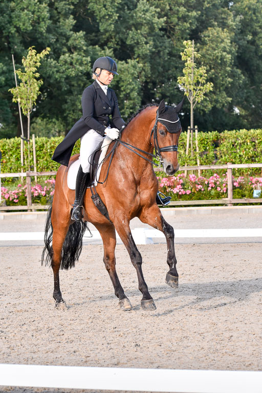 Klein Offenseth Dressur  1.8.2021 | 01082021 Dressur  KL S +_530 