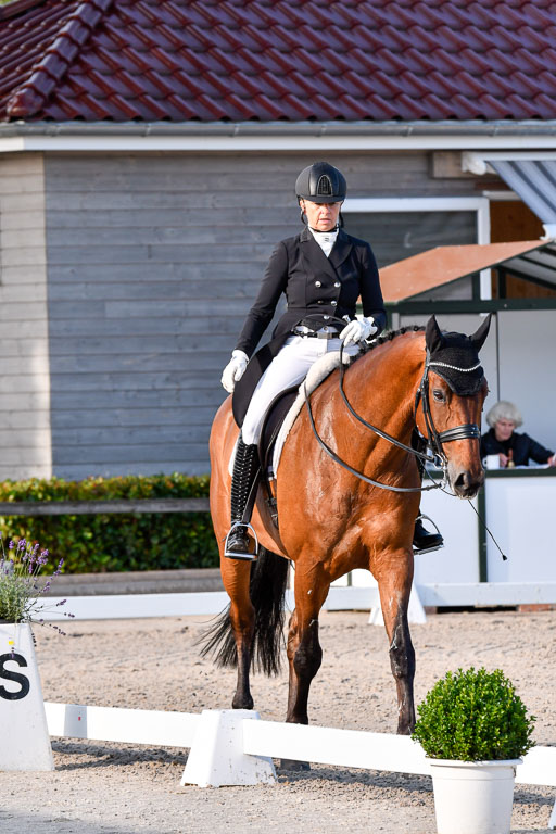 Klein Offenseth Dressur  1.8.2021 | 01082021 Dressur  KL S +_532 