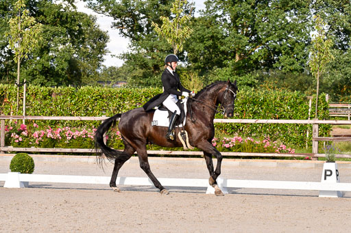 Klein Offenseth Dressur  1.8.2021 | 01082021 Dressur  KL S +_540 