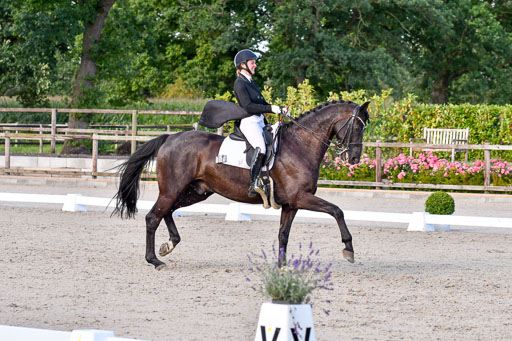 Klein Offenseth Dressur  1.8.2021 | 01082021 Dressur  KL S +_544 