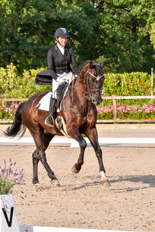 Klein Offenseth Dressur  1.8.2021 | 01082021 Dressur  KL S +_553 