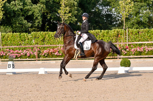 Klein Offenseth Dressur  1.8.2021 | 01082021 Dressur  KL S +_555 