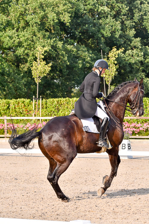 Klein Offenseth Dressur  1.8.2021 | 01082021 Dressur  KL S +_557 