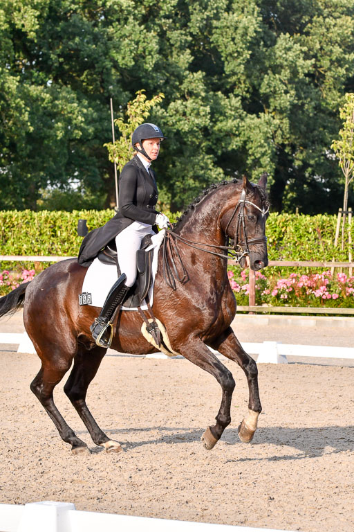 Klein Offenseth Dressur  1.8.2021 | 01082021 Dressur  KL S +_558 