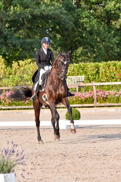Klein Offenseth Dressur  1.8.2021 | 01082021 Dressur  KL S +_561 