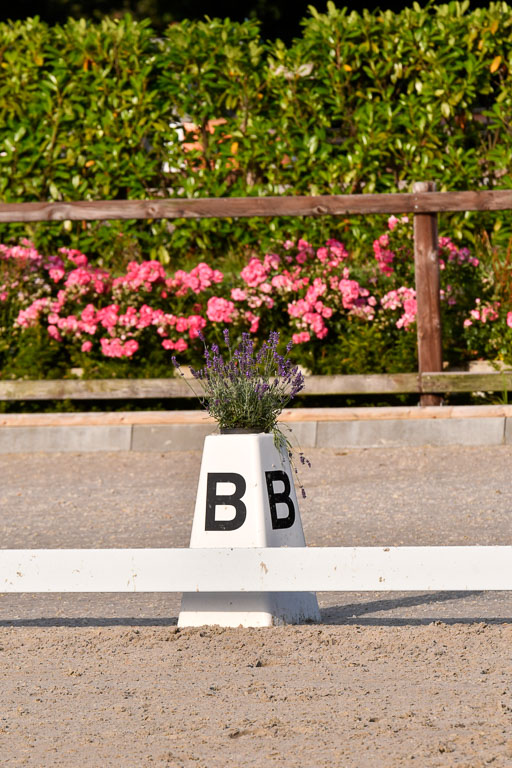 Klein Offenseth Dressur  1.8.2021 | 01082021 Dressur  KL S +_566 