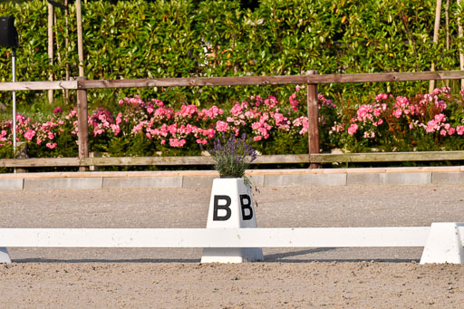 Klein Offenseth Dressur  1.8.2021 | 01082021 Dressur  KL S +_567 