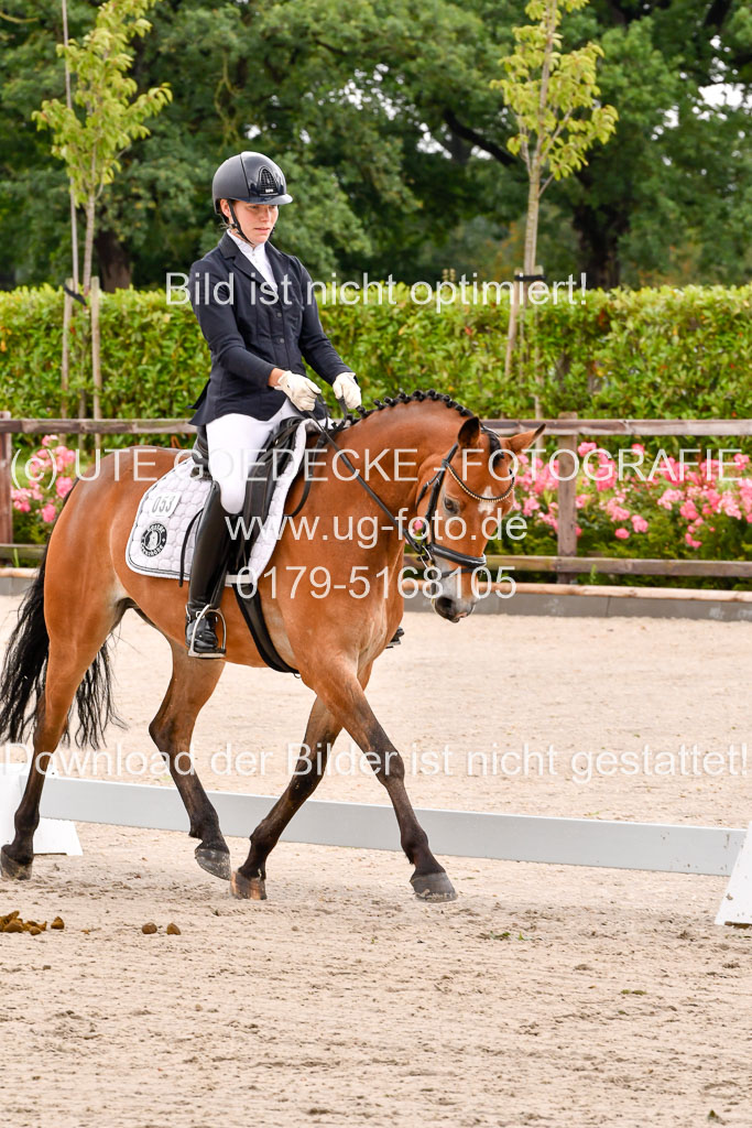 Klein Offenseth  - Dressur 1.8.2021 | 01082021 Dressurpferde A 