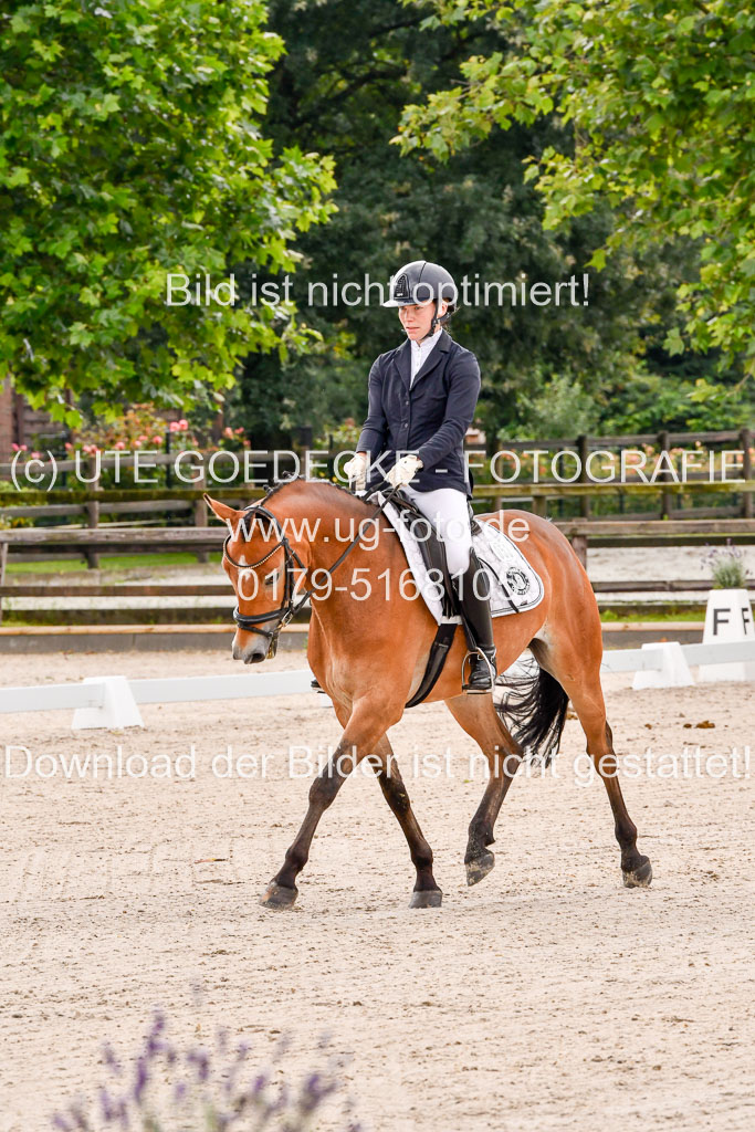 Klein Offenseth  - Dressur 1.8.2021 | 01082021 Dressurpferde A_02 