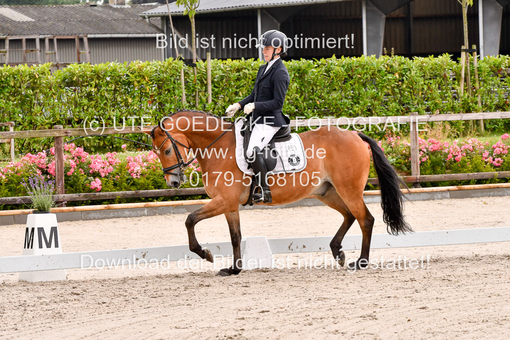 Klein Offenseth  - Dressur 1.8.2021 | 01082021 Dressurpferde A_09 