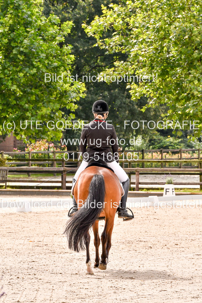 Klein Offenseth  - Dressur 1.8.2021 | 01082021 Dressurpferde A_26 