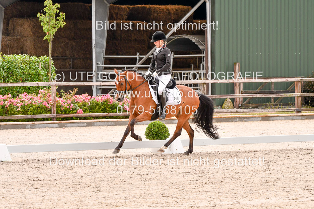 Klein Offenseth  - Dressur 1.8.2021 | 01082021 Dressurpferde A_30 