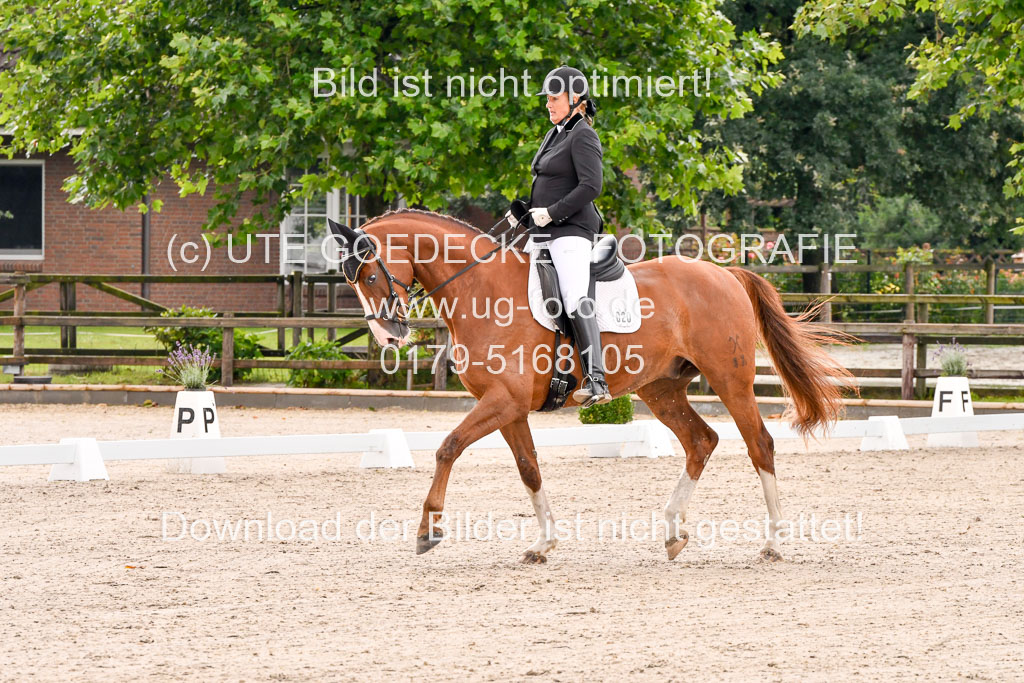 Klein Offenseth  - Dressur 1.8.2021 | 01082021 Dressurpferde A_40 