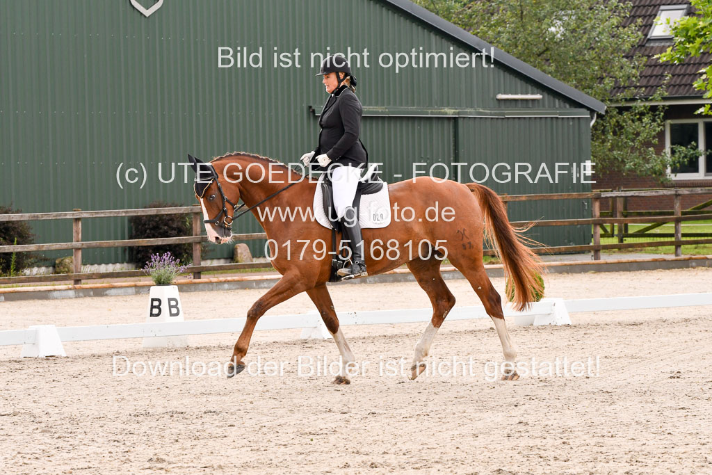 Klein Offenseth  - Dressur 1.8.2021 | 01082021 Dressurpferde A_41 