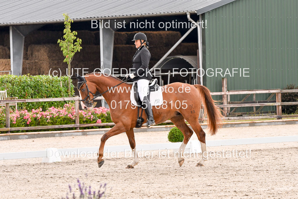 Klein Offenseth  - Dressur 1.8.2021 | 01082021 Dressurpferde A_42 