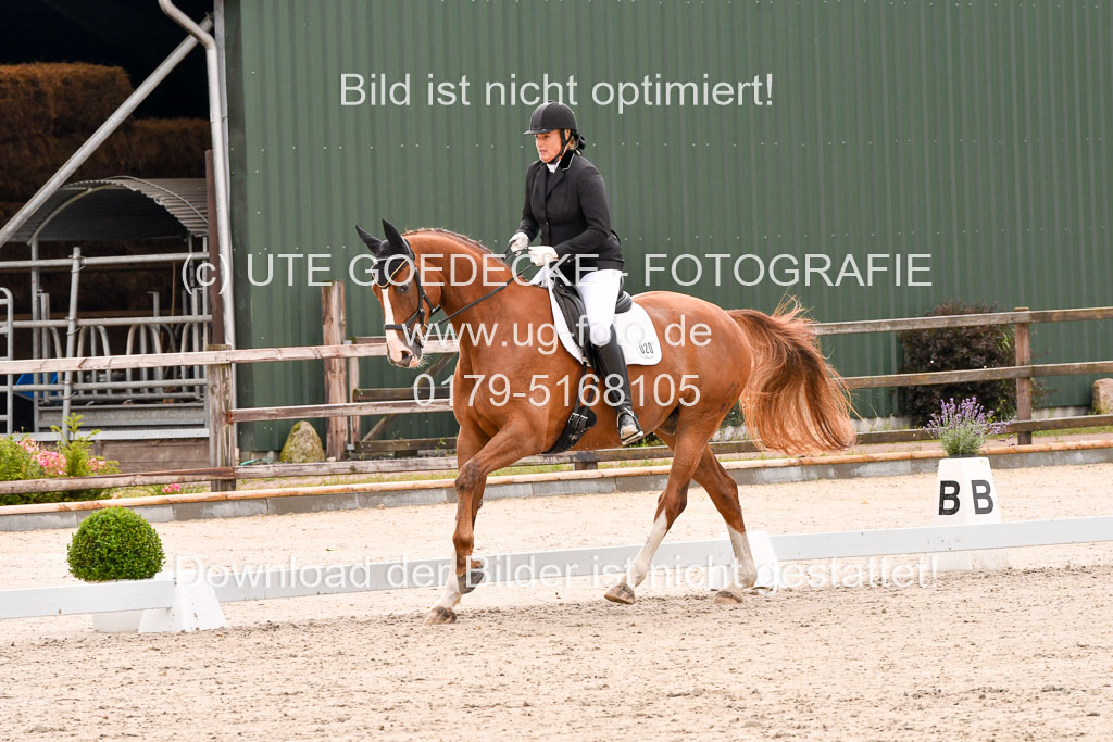 Klein Offenseth  - Dressur 1.8.2021 | 01082021 Dressurpferde A_46 