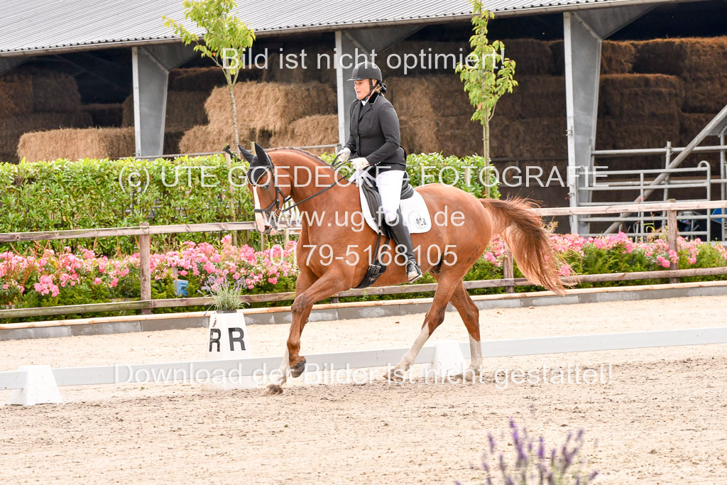 Klein Offenseth  - Dressur 1.8.2021 | 01082021 Dressurpferde A_47 