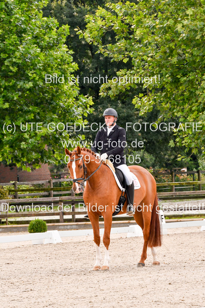 Klein Offenseth  - Dressur 1.8.2021 | 01082021 Dressurpferde A_49 