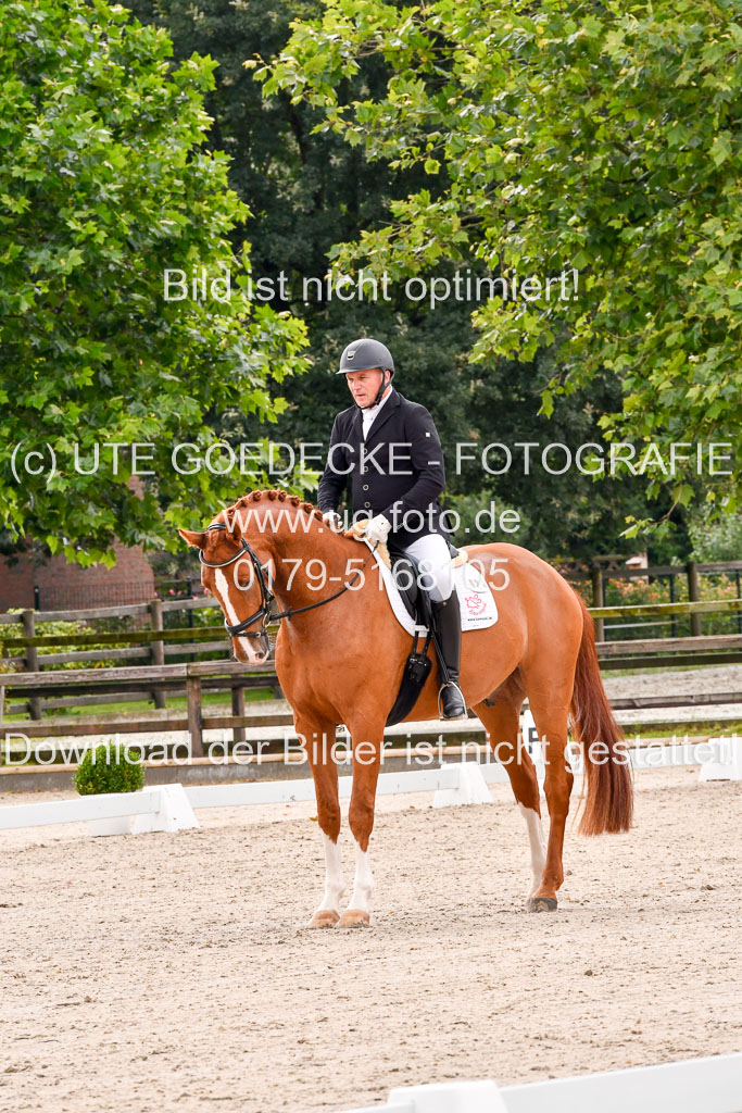 Klein Offenseth  - Dressur 1.8.2021 | 01082021 Dressurpferde A_50 
