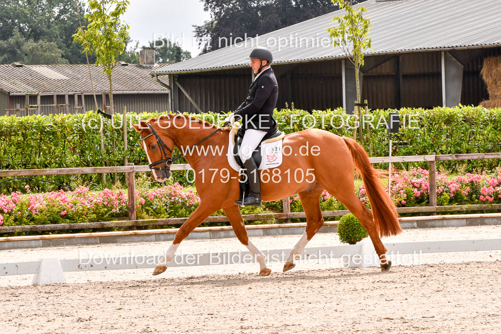 Klein Offenseth  - Dressur 1.8.2021 | 01082021 Dressurpferde A_57 