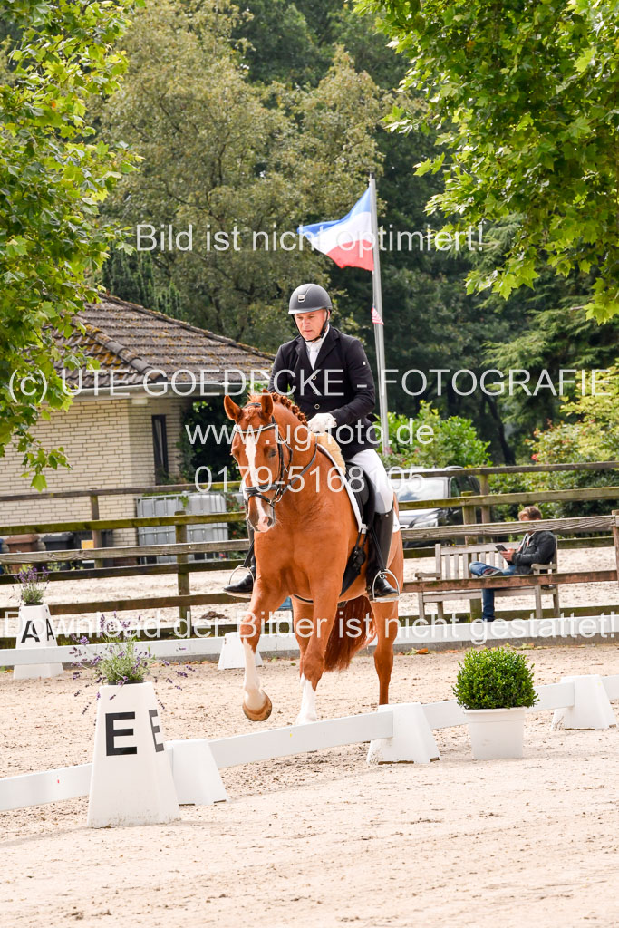 Klein Offenseth  - Dressur 1.8.2021 | 01082021 Dressurpferde A_58 