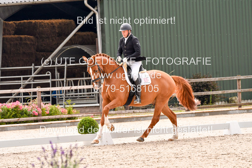 Klein Offenseth  - Dressur 1.8.2021 | 01082021 Dressurpferde A_60 