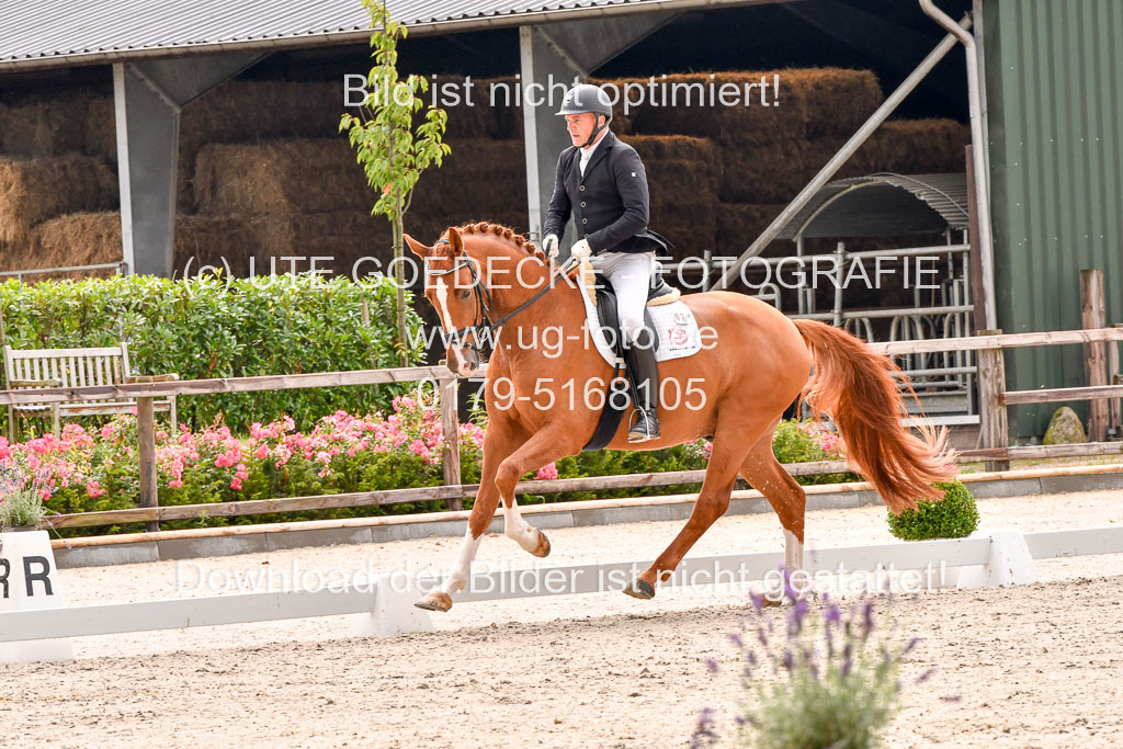 Klein Offenseth  - Dressur 1.8.2021 | 01082021 Dressurpferde A_61 