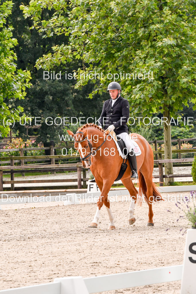 Klein Offenseth  - Dressur 1.8.2021 | 01082021 Dressurpferde A_63 