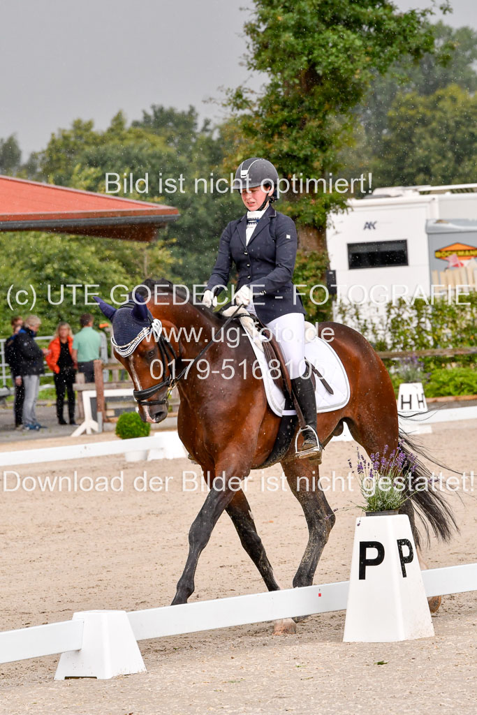 Klein Offenseth  - Dressur 1.8.2021 | 01082021 Dressurpferde A_69 