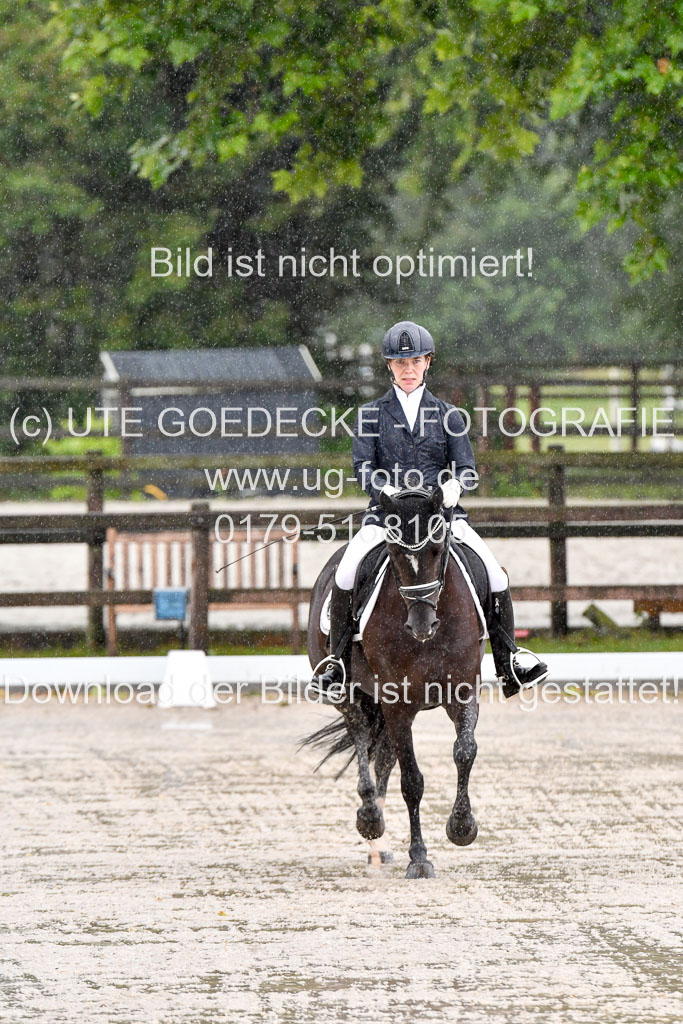 Klein Offenseth  - Dressur 1.8.2021 | 01082021 Dressurpferde A_75 