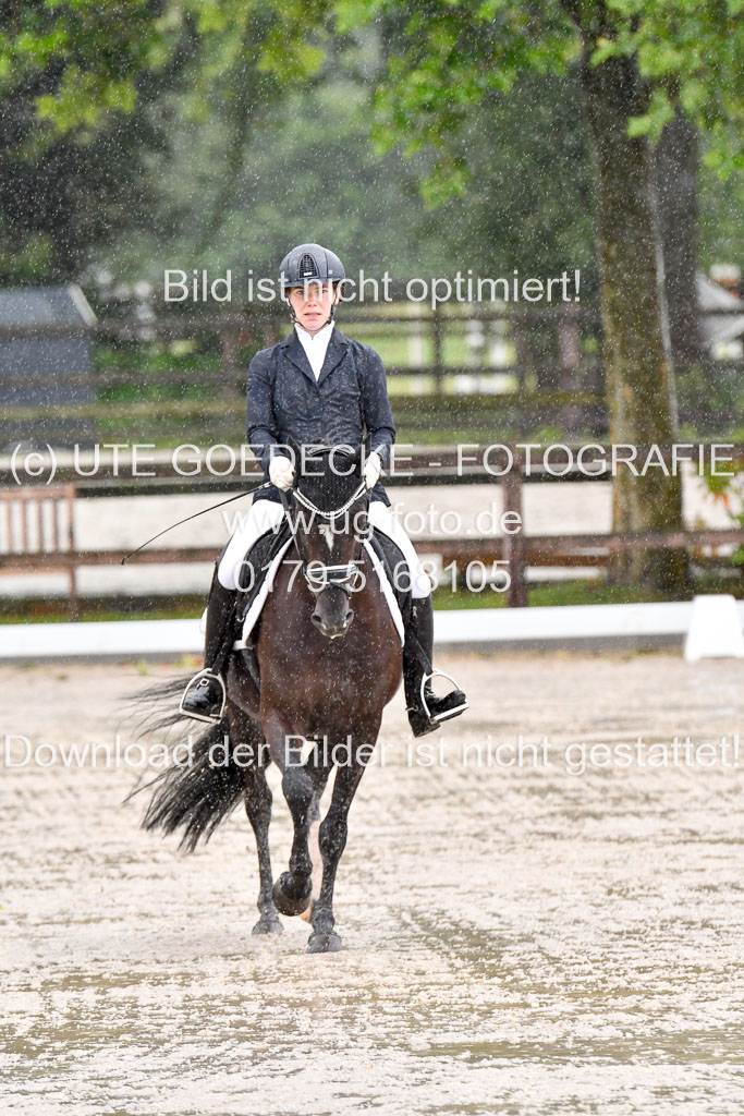Klein Offenseth  - Dressur 1.8.2021 | 01082021 Dressurpferde A_76 