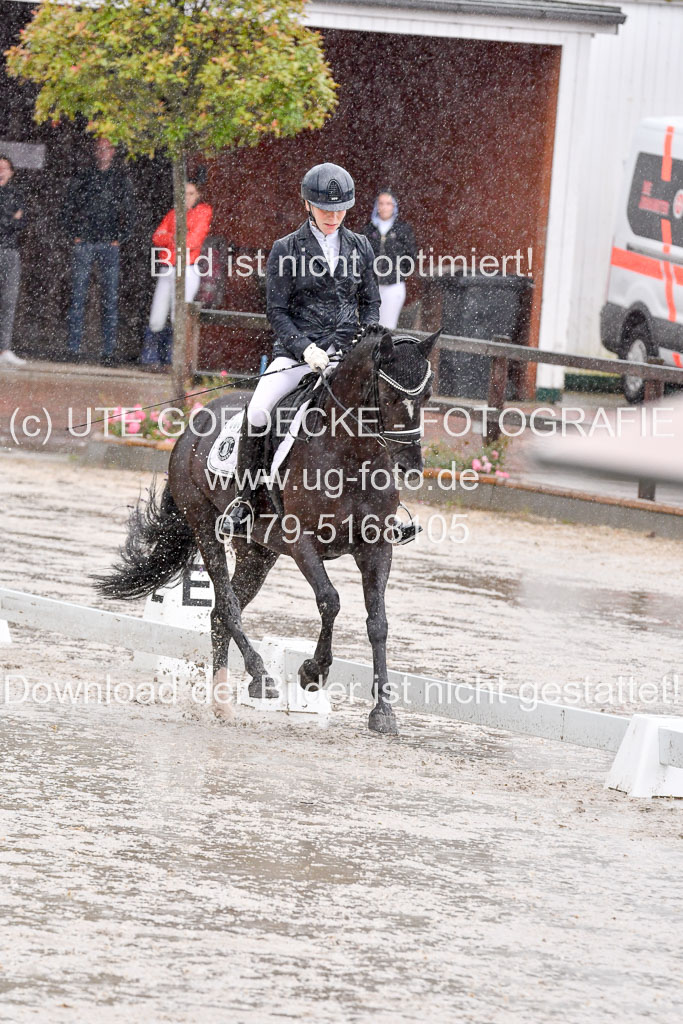 Klein Offenseth  - Dressur 1.8.2021 | 01082021 Dressurpferde A_83 