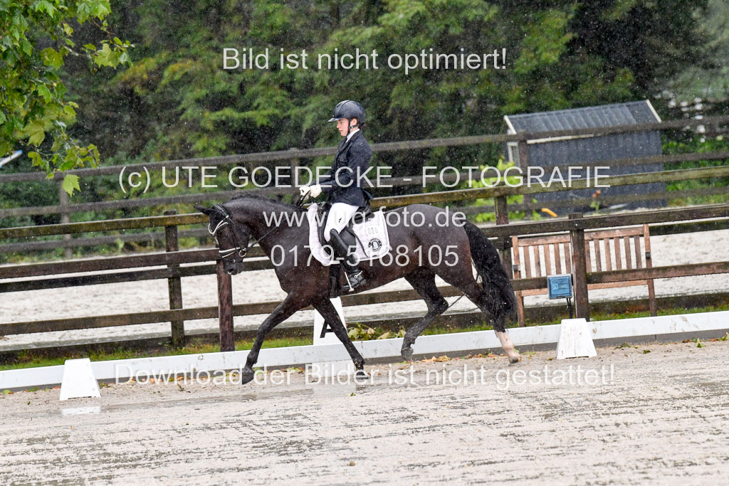 Klein Offenseth  - Dressur 1.8.2021 | 01082021 Dressurpferde A_84 