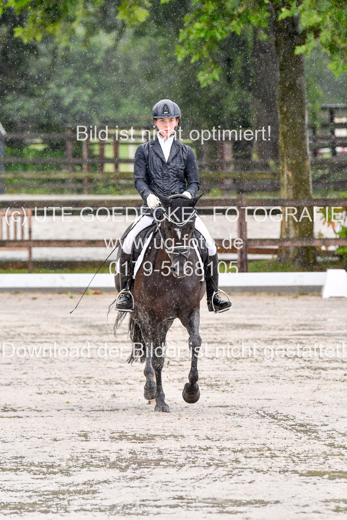 Klein Offenseth  - Dressur 1.8.2021 | 01082021 Dressurpferde A_88 