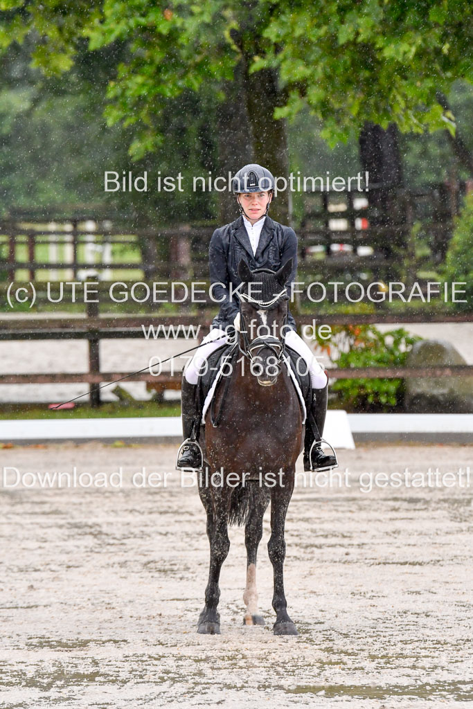 Klein Offenseth  - Dressur 1.8.2021 | 01082021 Dressurpferde A_89 