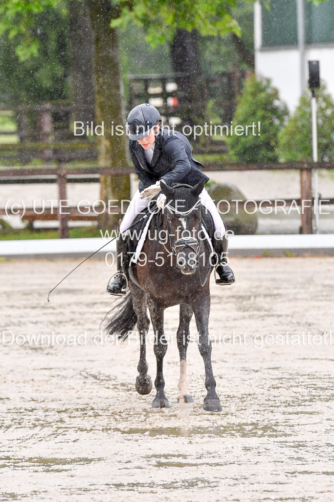 Klein Offenseth  - Dressur 1.8.2021 | 01082021 Dressurpferde A_90 