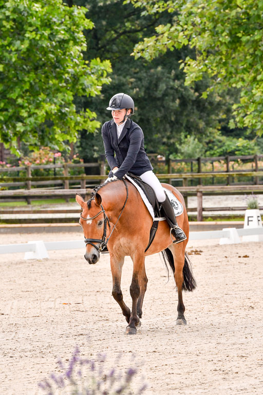 Klein Offenseth  - Dressur 1.8.2021 | 01082021 Dressurpferde A_16 