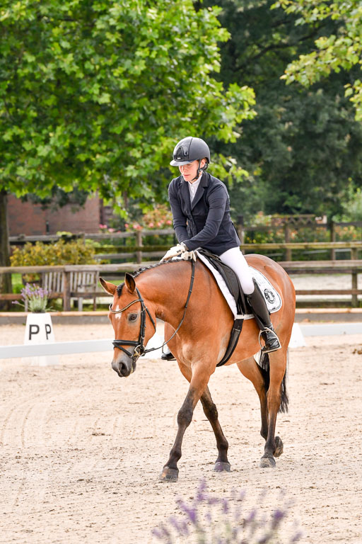 Klein Offenseth  - Dressur 1.8.2021 | 01082021 Dressurpferde A_17 