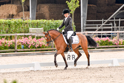 Klein Offenseth  - Dressur 1.8.2021 | 01082021 Dressurpferde A_18 