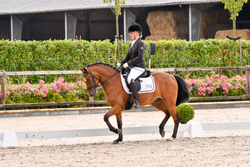 Klein Offenseth  - Dressur 1.8.2021 | 01082021 Dressurpferde A_19 