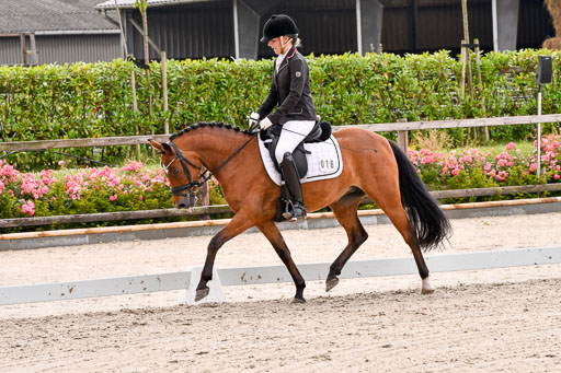 Klein Offenseth  - Dressur 1.8.2021 | 01082021 Dressurpferde A_21 