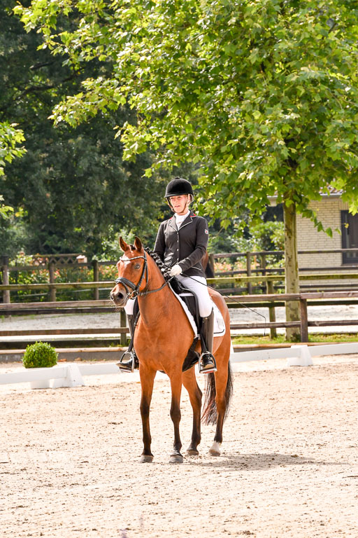 Klein Offenseth  - Dressur 1.8.2021 | 01082021 Dressurpferde A_23 