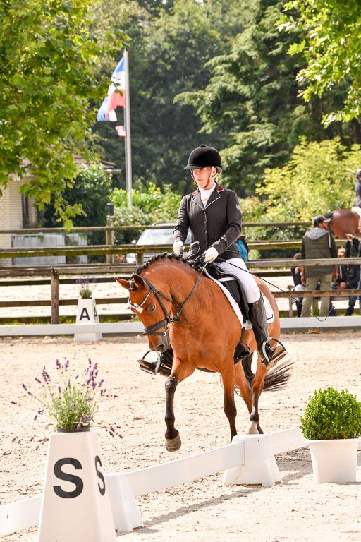 Klein Offenseth  - Dressur 1.8.2021 | 01082021 Dressurpferde A_24 