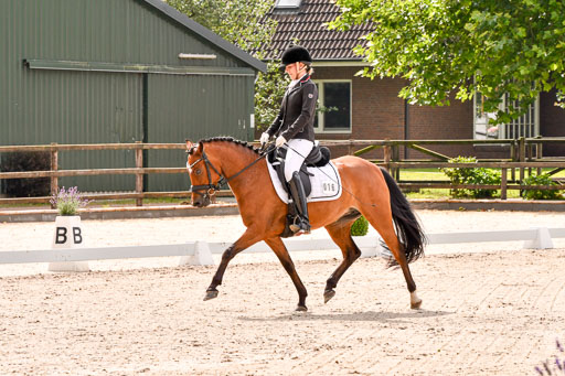 Klein Offenseth  - Dressur 1.8.2021 | 01082021 Dressurpferde A_25 