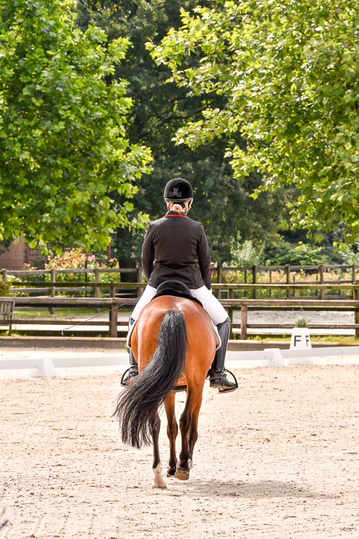 Klein Offenseth  - Dressur 1.8.2021 | 01082021 Dressurpferde A_26 