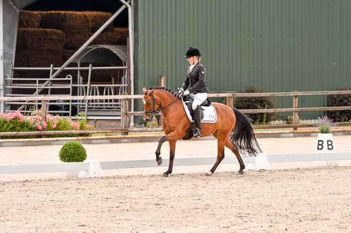 Klein Offenseth  - Dressur 1.8.2021 | 01082021 Dressurpferde A_29 